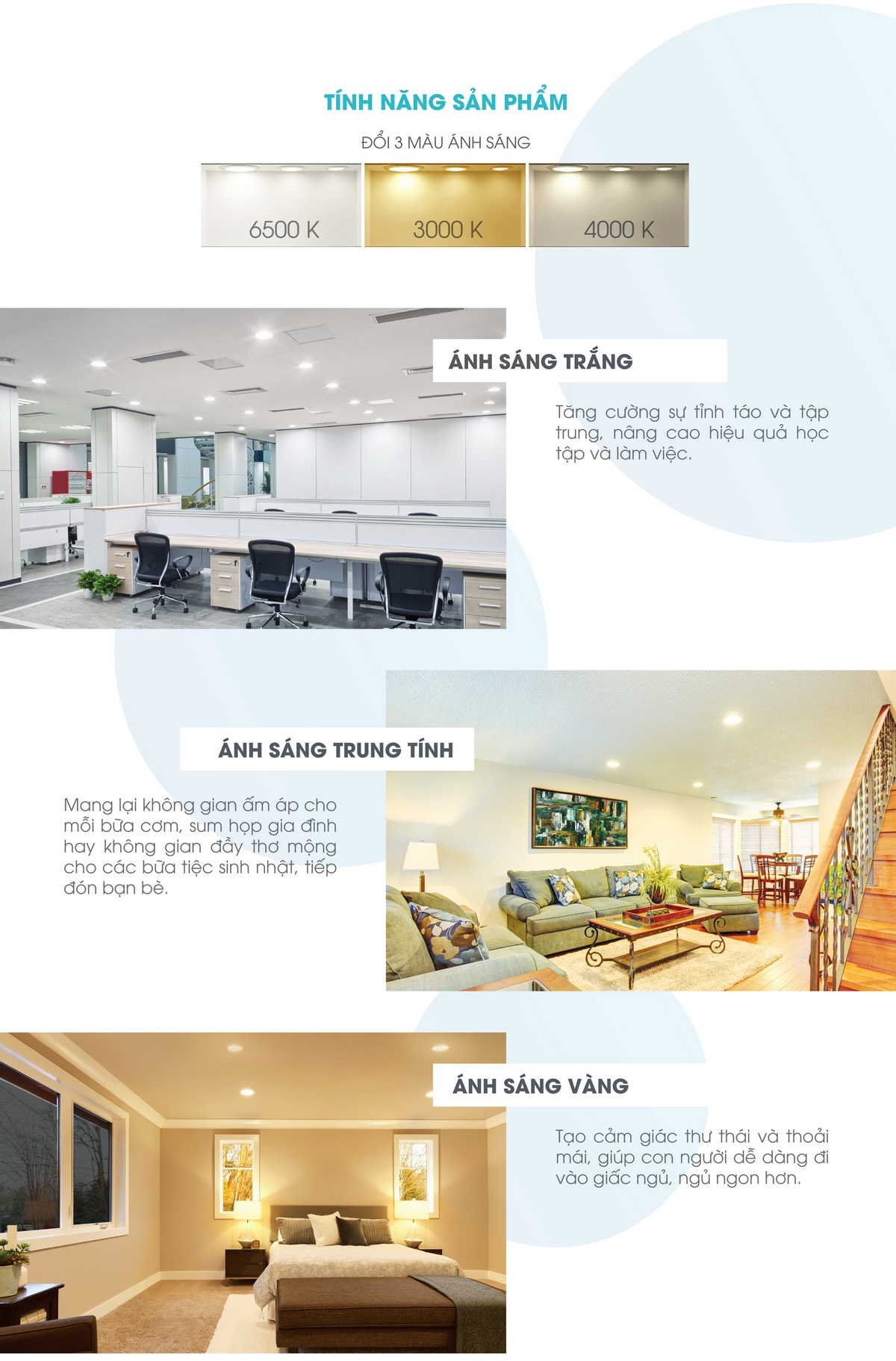 am_tran_vien_crom_hang_rang_dong_3