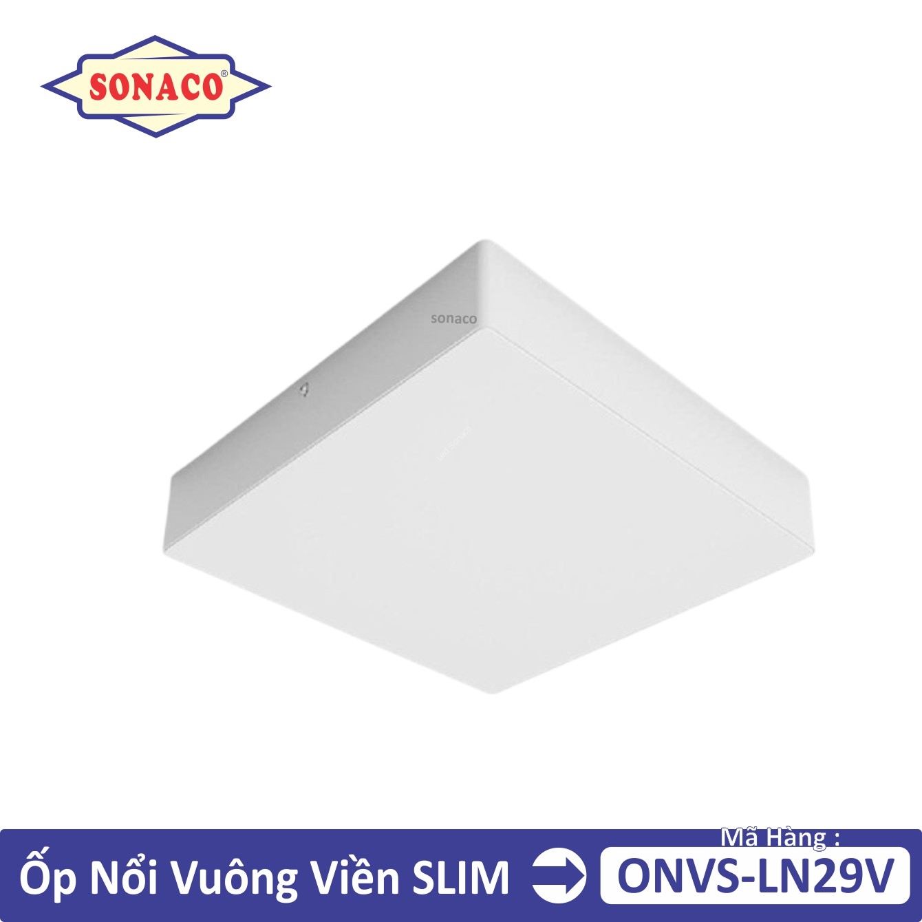 op_noi_vuong_ln29_rang_dong