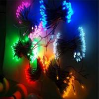 Bóng 5mm liền dây