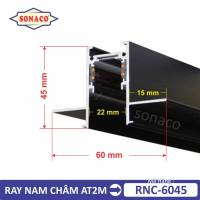 Ray Nam Châm Âm Trần