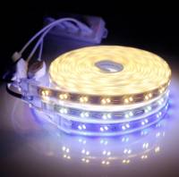 Led Dây Quấn Cây 220V