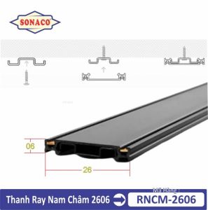 Ray Nam Châm Lắp Nổi